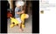 NEW new Moonhoppers Bouncy Horse Rocking Horse Ride-on Toys *Clearance* Carousel 12