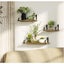 NEW new Wall Mounted Hanging Floating Shelves Display Cabinet *Clearance* Carousel 3