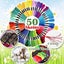 Embroidery Floss Rainbow Color 50 Skeins Per Pack Cross Stitch Threads Carousel 4