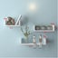 Wall Mounted Shelves Hanging Wood Book Case Shelves *Local Buy* Carousel 3