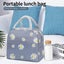 Insulated Lunch Bag, Thermal Cooler Bag Portable Bento Bag Cooler Picnic Lunch B Carousel 3