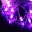 Loading Image 1 of 5