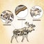 Forest Animal Rustic Wall Art Decor Wooden Farmhouse Wall Decoration Wooden Anim Carousel 4
