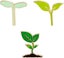 Loading Image 1 of 5
