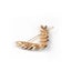 2 Pcs Women Hair Clip Korean Style V Shaped Rhinestone Side Clip Leaf Carousel 7