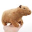 Real Life Fluffty Capybara Plush Toy Cute Capybara Plushie Dolls Wild Carousel 3