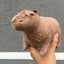 Real Life Fluffty Capybara Plush Toy Cute Capybara Plushie Dolls Wild Carousel 5