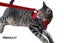 Cat Harness with Vest - Red Carousel 7