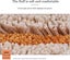 Rug Bath Mat, Cute Shell Bathroom Rug, Super Soft Absorbent Non-slip Washable En Carousel 3