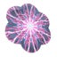 Loading Image 1 of 3