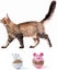 4 Pcs Cat Food Dispenser Cat Treat Toy Feeder Toy For Interactive Iq Treat Train Carousel 3