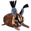 Loading Image 1 of 4