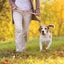 Dog Collar And Lead Set,safety Release Adjustable Collars Strong Nylon Leash Carousel 5