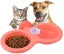 Double Hanging Pet Bowl Pet Food Feeder Feeding Bowl Dog Cat Rabbit Bird Food Ba Carousel 3
