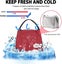Insulated Lunch Bag Portable Lunch Bag, Polka Dots Red, 6.5l Carousel 4