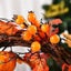 Maple Leaf Artificial Pumpkin Wreath, Autumn Wreath, Artificial Wreath For Hallo Carousel 3
