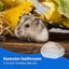 Hamster Sand Bathroom Sand Bath Container Small Pet Bathtub Sauna Toilet Washroo Carousel 4