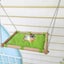 Hammock For Hamster/mice Guinea Pig Bed Hedgehog House Pad Bedding Toy Cage Acce Carousel 4