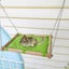 Hammock For Hamster/mice Guinea Pig Bed Hedgehog House Pad Bedding Toy Cage Acce Carousel 5