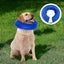 Inflatable Pet Cover - Washable Protective Collar For Small Dogs And Cats L size Carousel 4