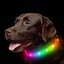 Led Dog Collar , Rechargeable Rainbow Color Changing Light Up Dog Collars, Water Carousel 1
