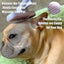Pet Hair Brush Set. Self Cleaning Slicker Brush+grooming Glove+lint Remover Gift Carousel 5