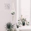 Plant Hanger Indoor Outdoor Wall Mount Ceiling Plant Pot Plant Rack For Patio De Carousel 5