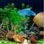Silicone Artificial Fish Aquarium Decortion High Simulation Lifelike Floating Fa Carousel 4