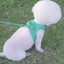 Step-in Faux Suede Dog Harness And Leash Set - Soft Breathable Faux Suede Fabric Carousel 4