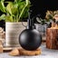 Plant Mister Spray Bottle, 500ml Stainless Steel Water Cans Metal Watering Pot W Carousel 3