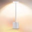 Cordless Table Lamp, Led Metal Usb Rechargeable 6000mah 2-levels Brightness Nigh Carousel 1
