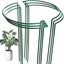 6 Pack Plant Support Stakes, Metal Garden Plant Stake, Outdoor Tall Plant Suppor Carousel 1