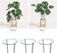 6 Pack Plant Support Stakes, Metal Garden Plant Stake, Outdoor Tall Plant Suppor Carousel 2