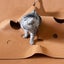 Loading Image 2 of 3