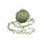 Loading Image 1 of 3