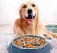 Pet Anti-pharyngeal Bowl Cat Dog Slow Food Bowl Obesity Prevention Pet Products Carousel 4