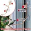 Modern Window Hanging Hummingbird Feeder With Suction Cup For Outdoor Garden Bir Carousel 2