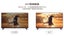 SVICloud TV Box 9P Android 12 2-USB Port 4GB Ram 64GB Rom AV1 encoding Carousel 13