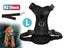 Dog Accessories Car Harness NZ Clearance Carousel 1