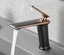 Mixer Tap Hot and Cold Bathroom Toilet White Gold Black Chrome Faucet Deck Mount Carousel 12
