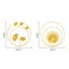NEW new 2Pcs Gold Metal Palm Leaf Wall Sculptures Home Ornament *Clearance* Carousel 6