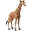 CollectA Reticulated Giraffe Calf Carousel 1