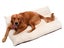 70x50cm Reversible Pet Crate Bed Thick Pet Kennel Cushion Car Seat Pad Beige Carousel 1