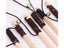PTN NEW Cat Toy Sale - Sale Sale Carousel 4
