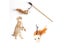 PTN NEW Cat Toy Sale - Sale Sale Carousel 5