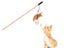 PTN NEW Cat Toy Sale - Sale Sale Carousel 6