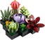 LEGO Creator 10309 Expert Succulents + AfterPay Carousel 5