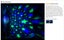 Star Night Light Projector Kids Bedroom Lights *Over Stocked* Carousel 6