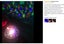 Star Night Light Projector Kids Bedroom Lights *Over Stocked* Carousel 12