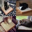 Cat Bed Cat Bed Soft Plush Pet Mats Cushion *Local Buy* Carousel 6